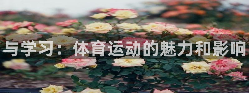 yy易游官网下载招商电话号码查询是多少:与学习:体育运动的魅