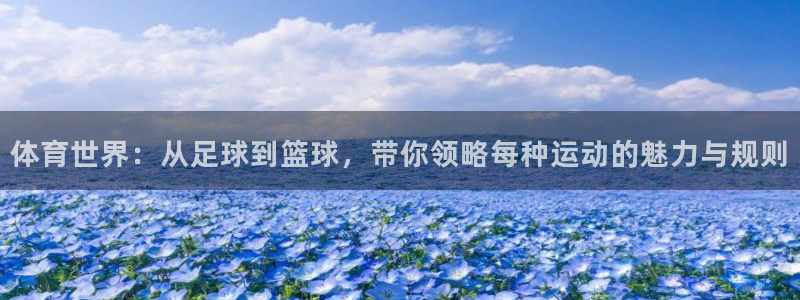 yy易游官方集团官网:体育世界:从足球到篮球,带你领略每种运