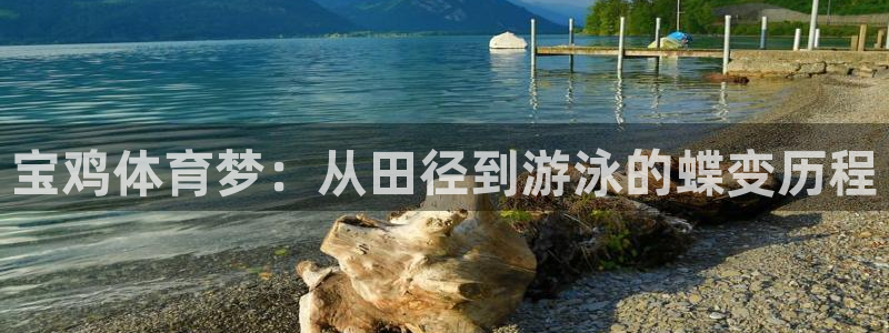 海南yy易游官网下载发展怎么样:宝鸡体育梦:从田径到游泳的蝶